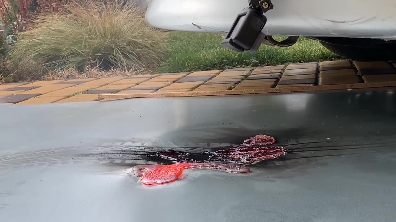 EXPERIMENT: CAR vs LAVA