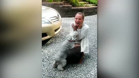 Animals Reunited With Owners After Years !