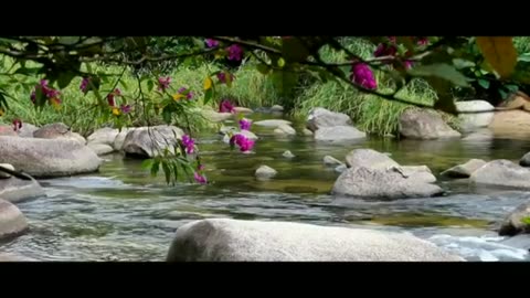 Relaxing Music | Sleeping, Meditation, Stress Relief | [7507] ⭐️