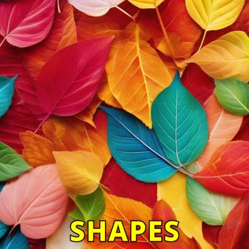 Science Experiments for Toddlers – Safe and Engaging Fun