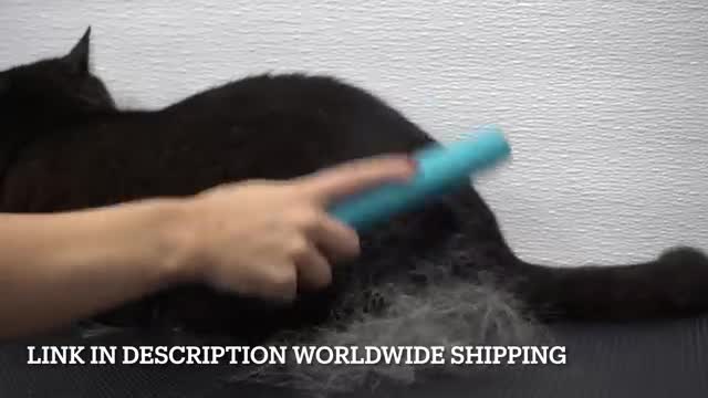 The BEST de-shedding brush | Must have for pet owners!