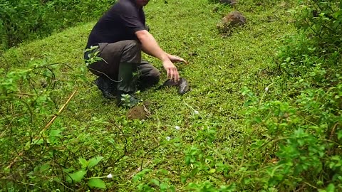 Appreciate tea from nature, angling and cooking