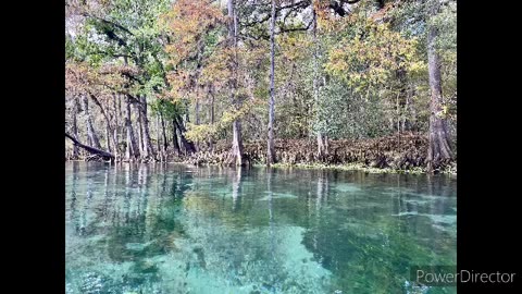 Ichetucknee state park