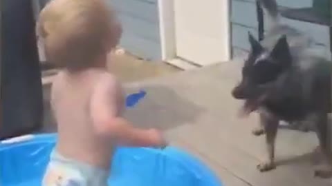 FUNNIEST BABY PLAYING DOG