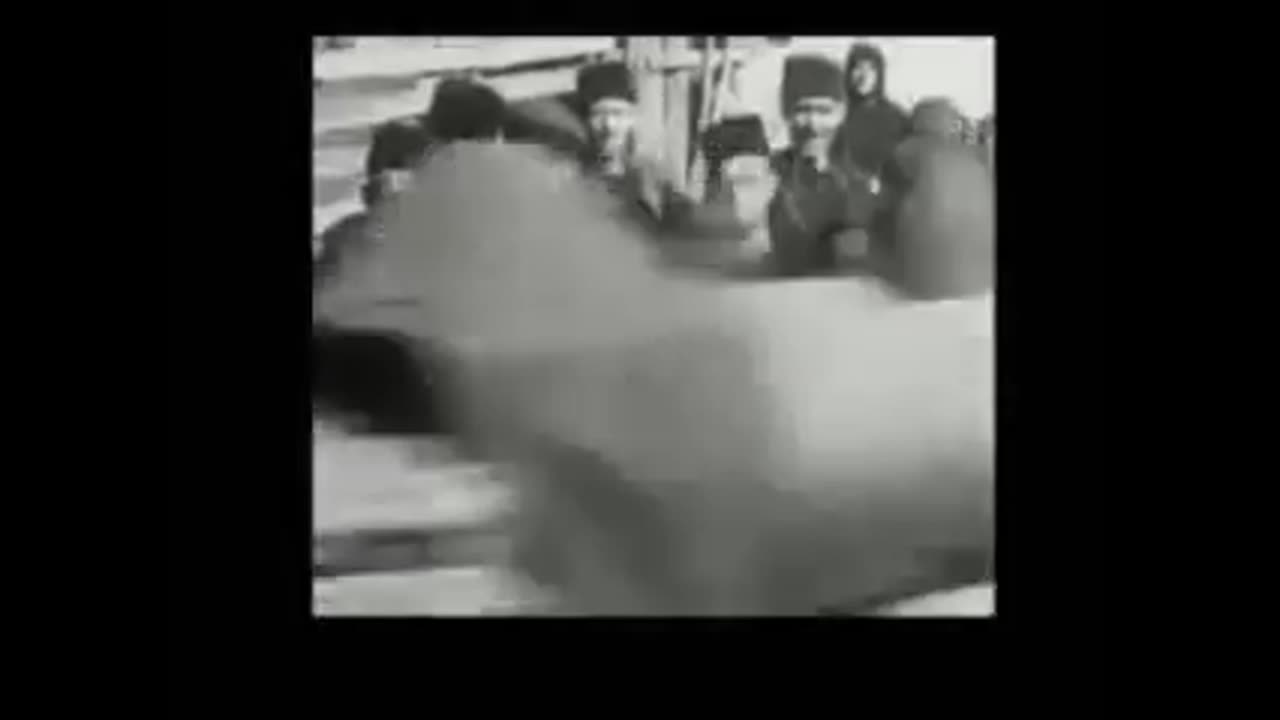 България 1941 година-Посрещането на Вермахта