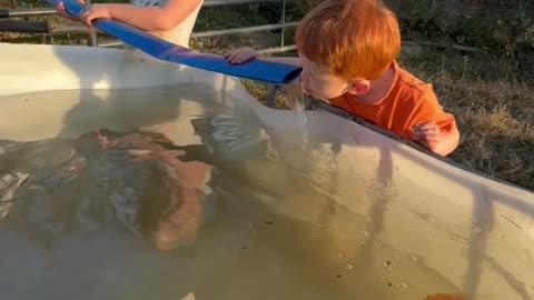 Play country kids immune systems are stronger!