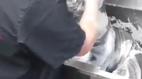 Bathe your dog