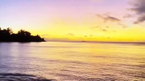 turtle's camera perspective