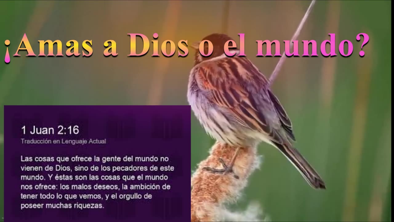 ¿Amas a Dios o el mundo ? _ Devocional