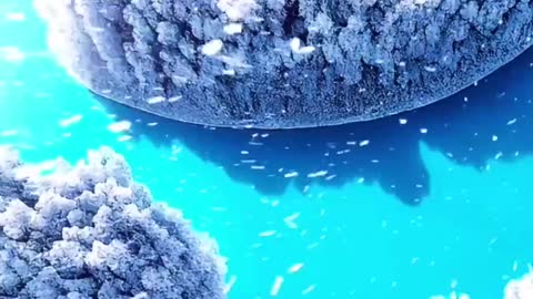 Nature beauty