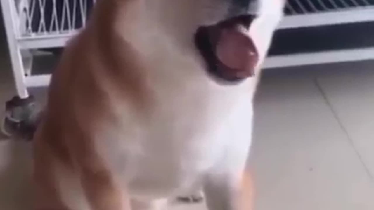If people ran instant of flew