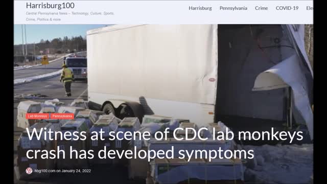 100 C.D.C. Diseased Monkeys Escape Truck Crash in PA - 1 Witness Now has Symptons