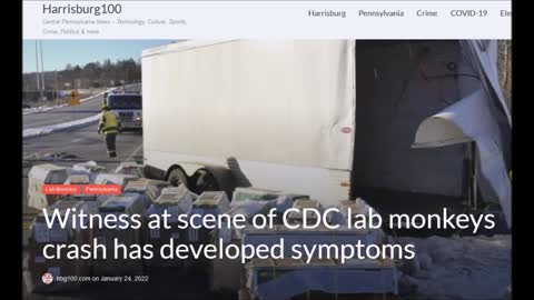 100 C.D.C. Diseased Monkeys Escape Truck Crash in PA - 1 Witness Now has Symptons