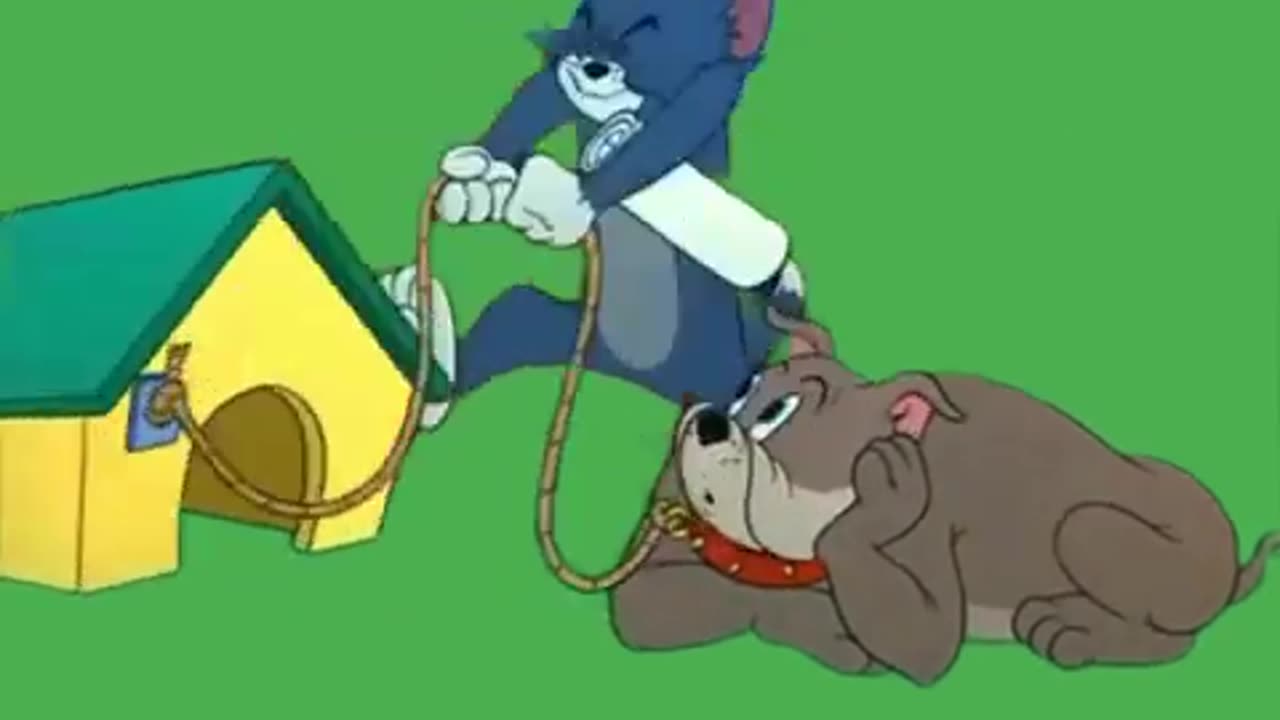 Cartoon green screen background tom jerry