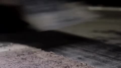 Ice curl 🍦🍧🍨