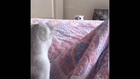#Funny Moments