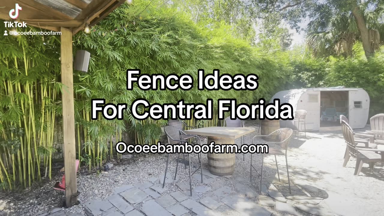 Alternative Fence Ideas For Florida Backyards - Ocoee Banboo Farm 407-777-4807