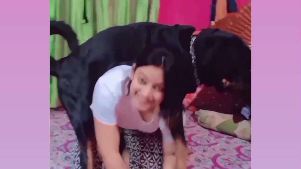 The cute and sexy young girl fun with a dog