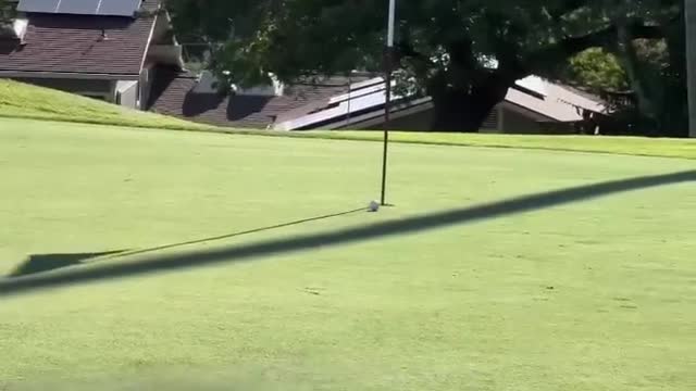 GRACE CHARIS Hawaii putt