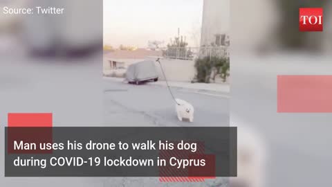 Watch# Man uses drone to walk his dog during COVID-19 lockdown