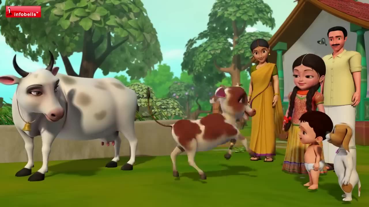 funny animal video