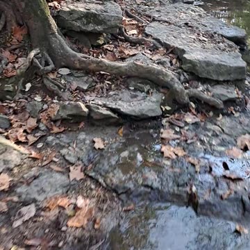 Indian Run Falls Park in Dublin, Ohio November 5th, 2023 Beautiful