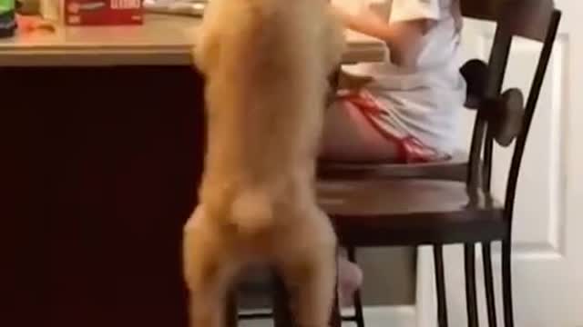 He got that vertical down tho