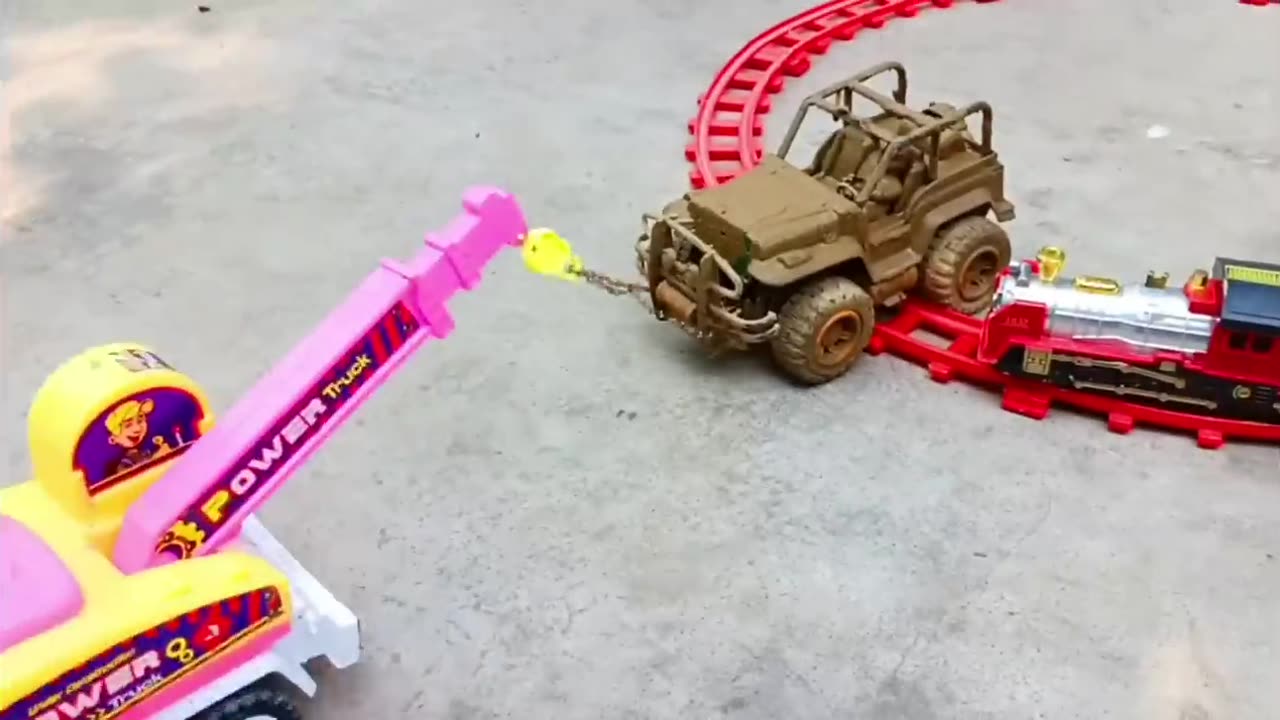 Animal video
