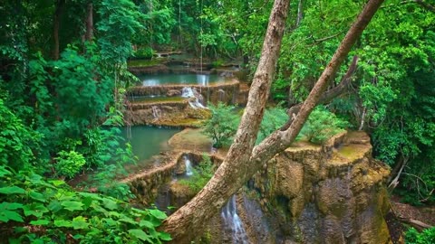 Beautiful Nature - Landscape - Background Video