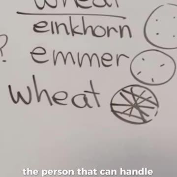 🎬DRA. BARBARA O'NEIL: O PROBLEMA COM O TRIGO🎬