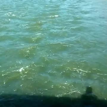 Blackfoot River Idaho, Blackfoot River, Morgan's bridge, Idaho