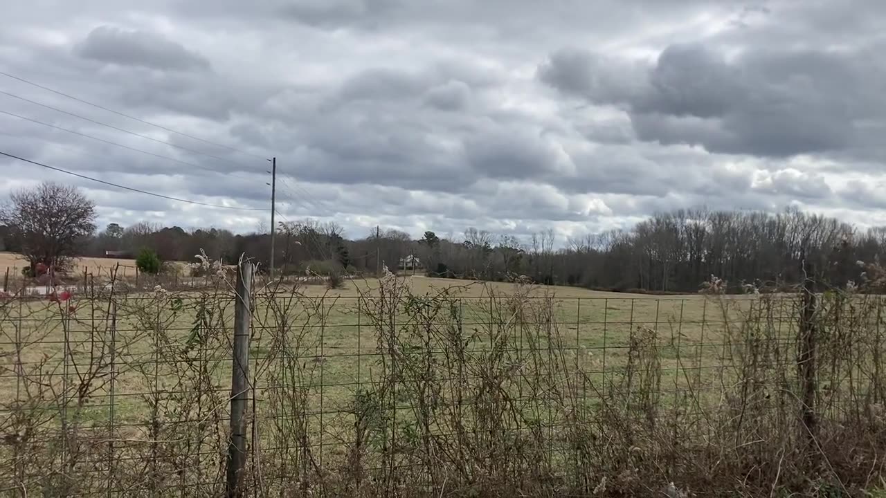 Beautiful Pasture [The Laughing Daiymo]