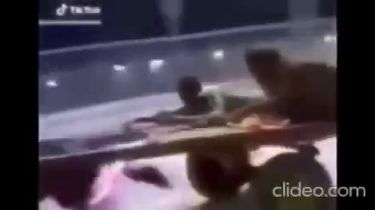 Heleriouse loughing🤣😭😂🤣😂😭