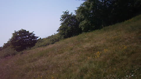 Jimmy vid Örby ängar. 7 Juli 2013