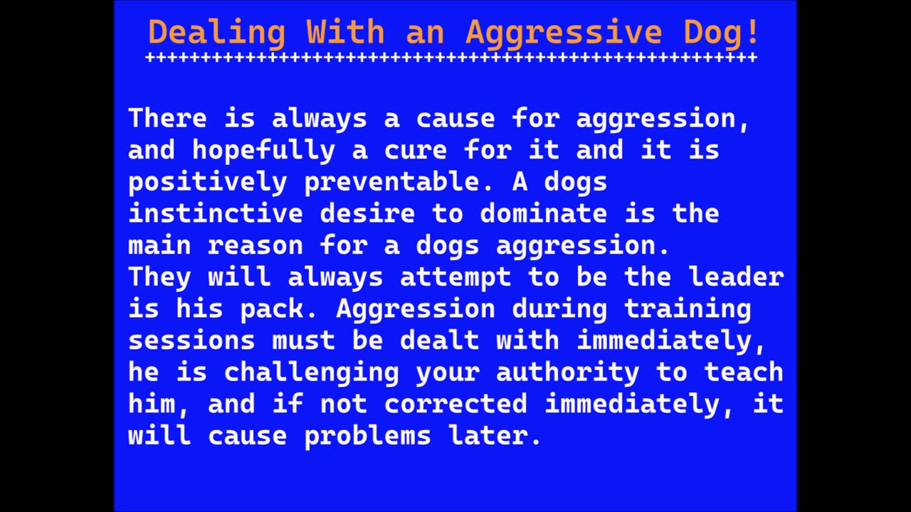 Dealing With an Aggressive Dog!