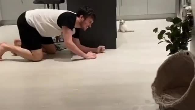 Cat Funny Videos...( cute kitten ) #catlove#love