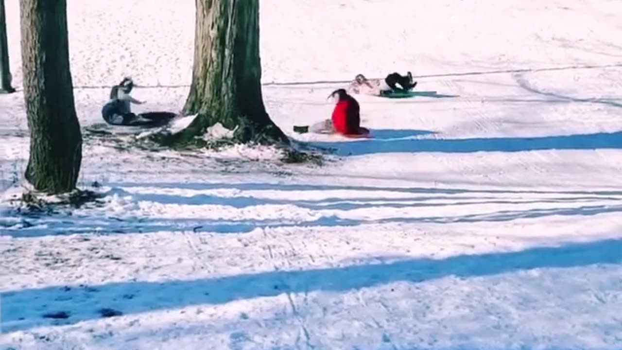 Funny prank, Funny animals,english viral.
