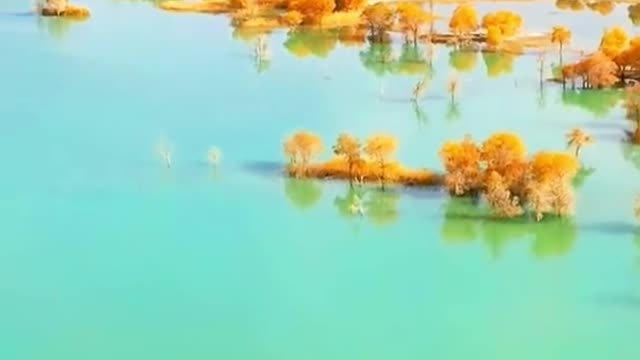 #foryou #beauty #lake #autumn #tree #like #scenery