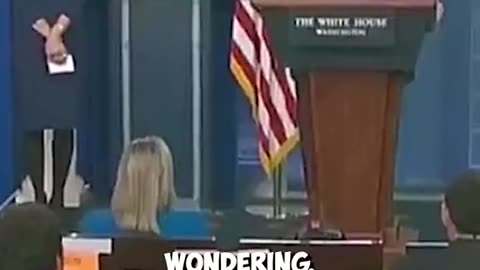 Trump Vs Reporter