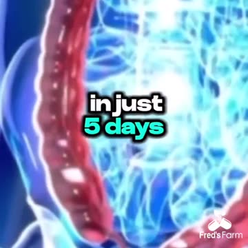 THE BENEFITS OF DRINKING OLIVE OIL, LEMON JUICE AND CAYENNE PEPPER 🧑‍🌾 FRED'S FARM