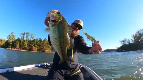 Fall Fishing For Bass Is Easy!! (Here's How We Do It)