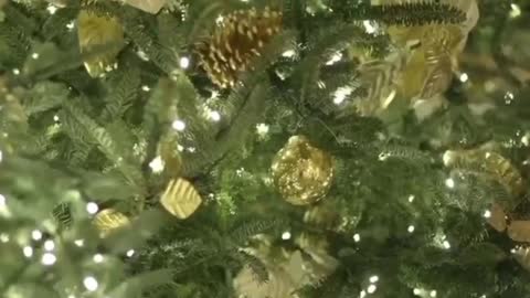 SCENIC CHILL WITH THE GREYBEARD!! FLYING CANADIAN COAST IN THE LONG EZ!