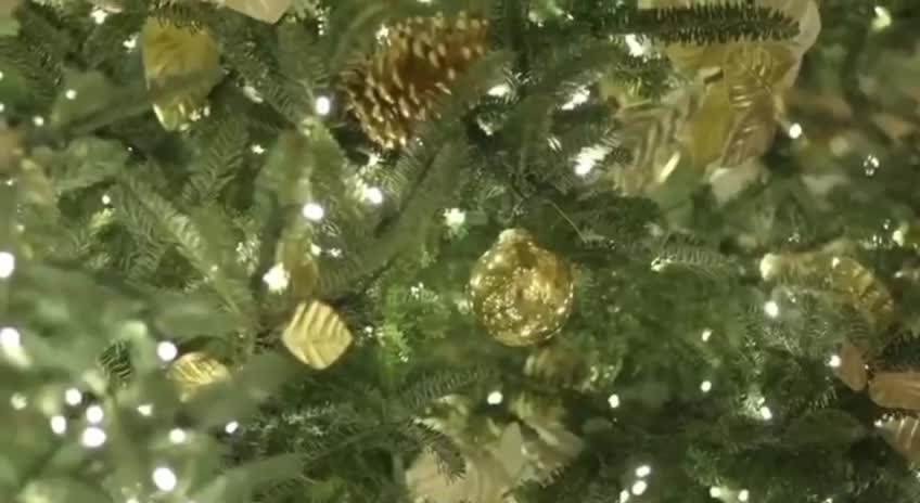 SCENIC CHILL WITH THE GREYBEARD!! FLYING CANADIAN COAST IN THE LONG EZ!