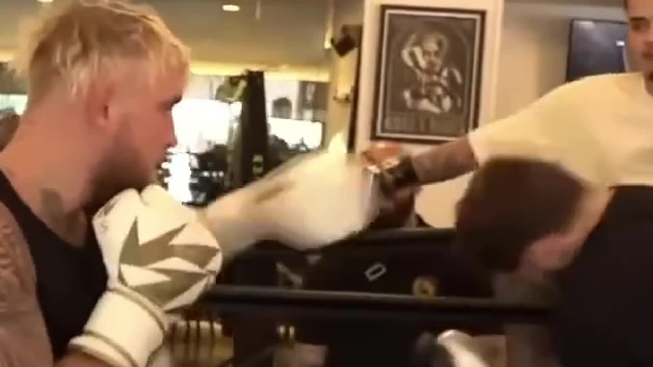 Jake Paul Uses His Signature move on Adin😂