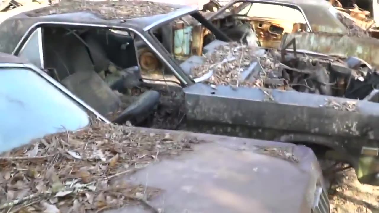 Barn Finds - 56 Classic Mustangs Discovered in Woods in Louisiana