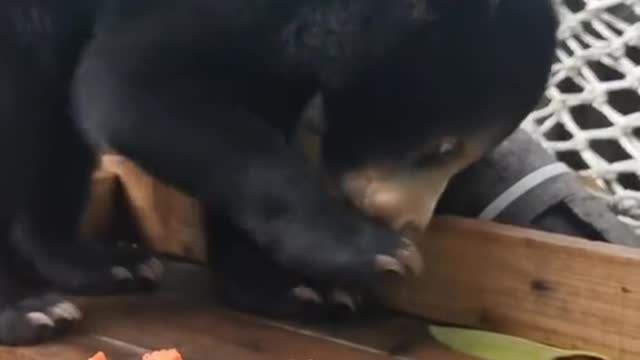 even the leaf taste better than that thing