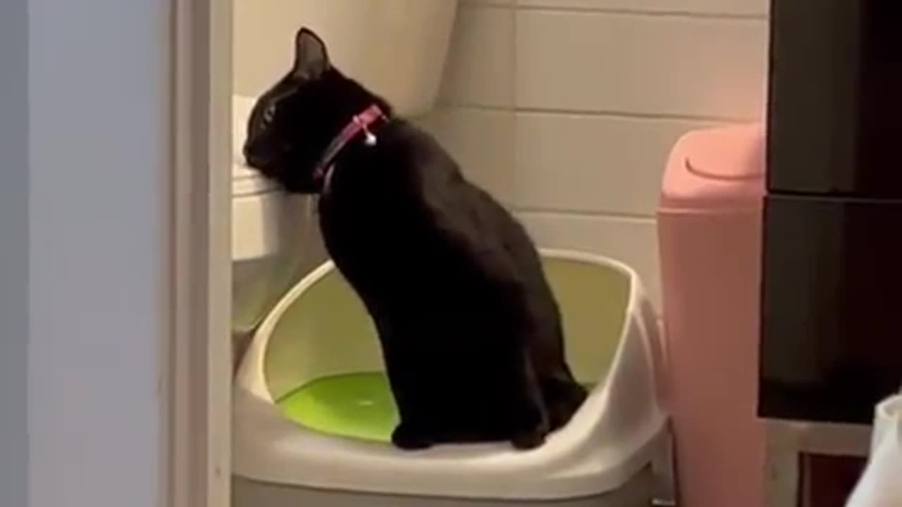 When you really need to squeeze it out