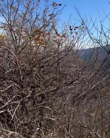 glimpse of the Modena mountains 6