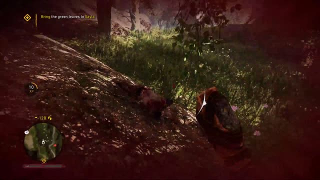 They ambushed the wrong person
