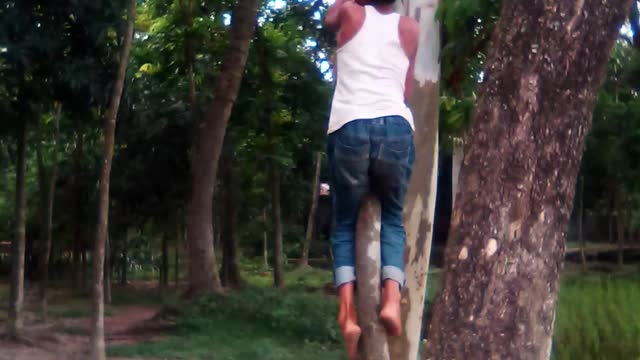 A little child traying hard to claim up the tree.